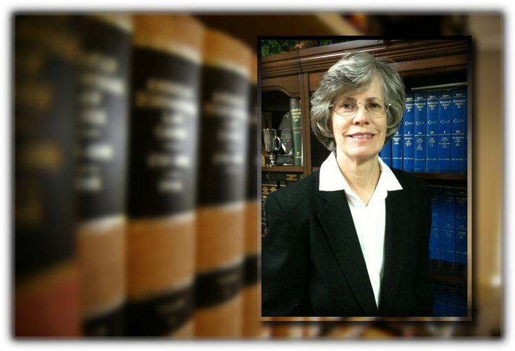 Martha Child Law - University Of Texas School Of Law - Trade Paperback (840x559), Png Download