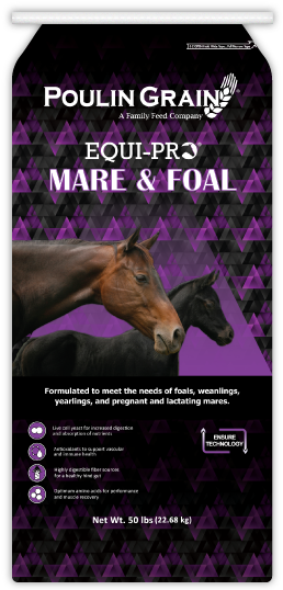 Equi-pro Mare & Foal - Mare (278x543), Png Download
