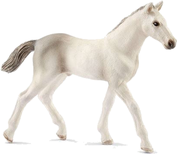 Schleich Foal (700x700), Png Download