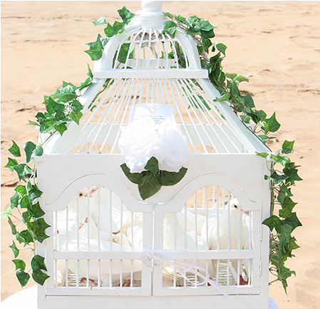 When You're Celebrating Your Maui Destination Wedding, - Shrine (650x433), Png Download