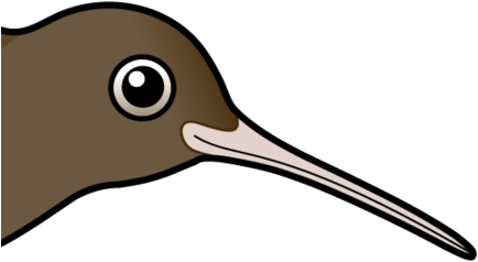 About The Brown Kiwi - Bird Cartoon (440x440), Png Download