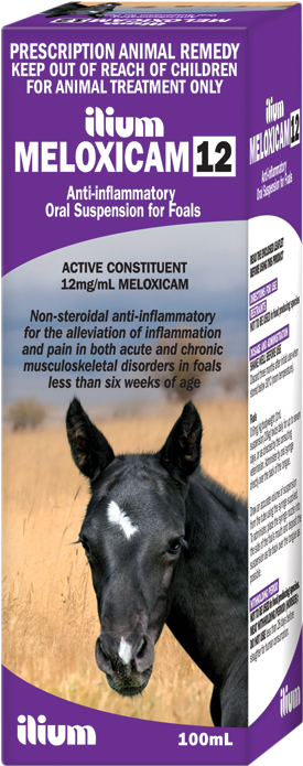 Meloxicam 12 Foal Suspension 100 Ml - Foal (800x726), Png Download
