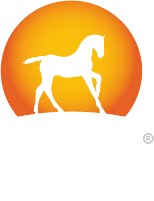 Logo Logo Logo - Soft Drink (500x500), Png Download