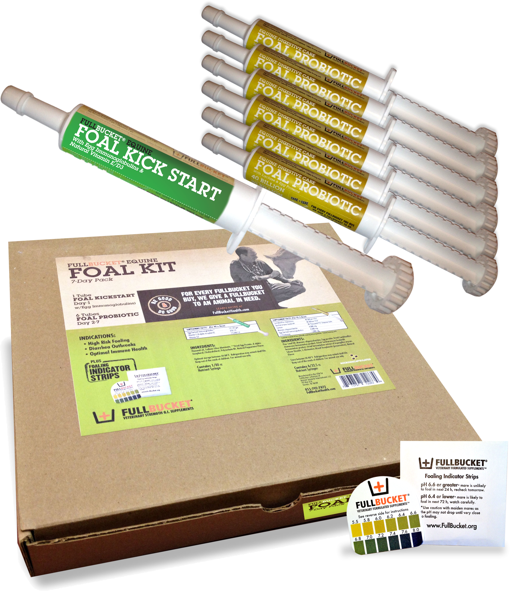 Foal Bucket (1740x2011), Png Download