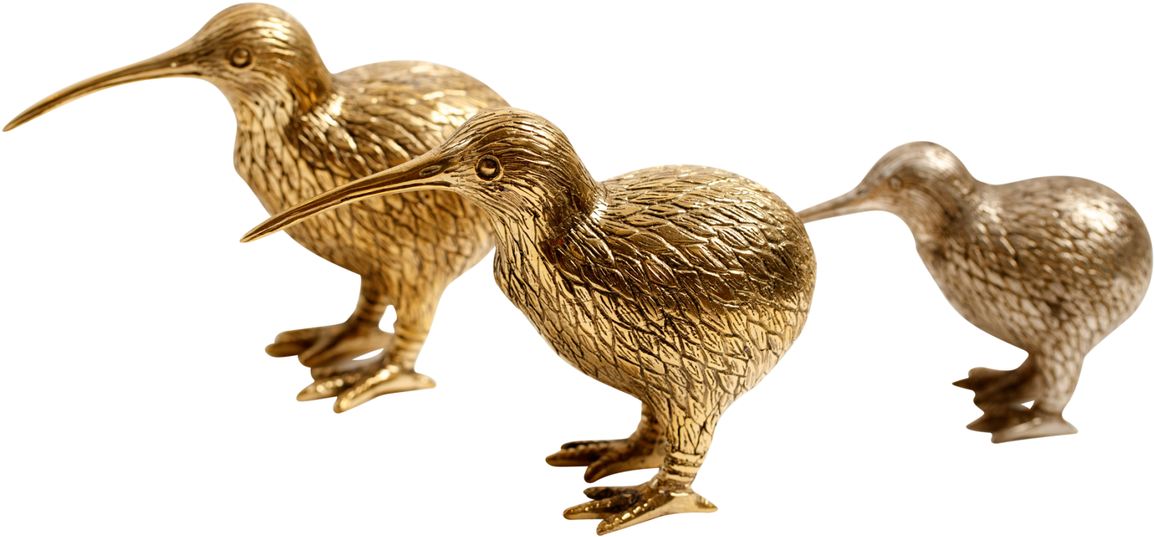 More Views - Duck (1800x1113), Png Download