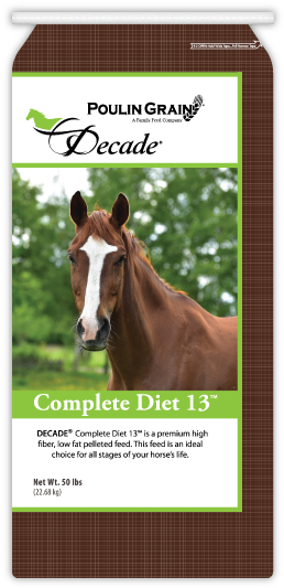 Pferdegesicht Mit Markierung Post-it Klebezettel (278x543), Png Download