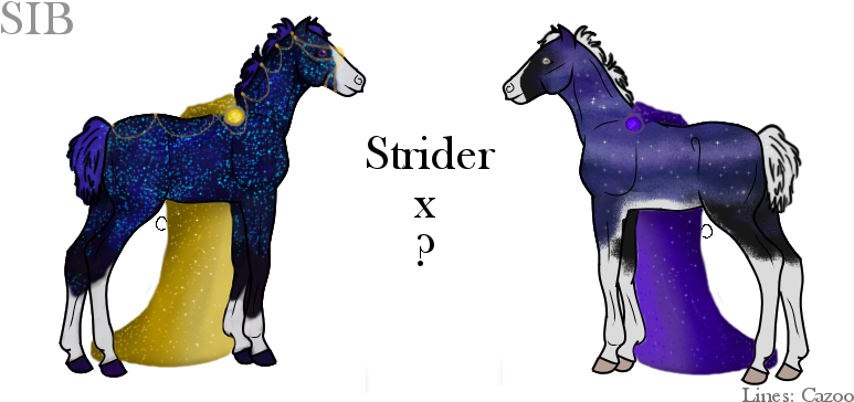 Foal (831x377), Png Download