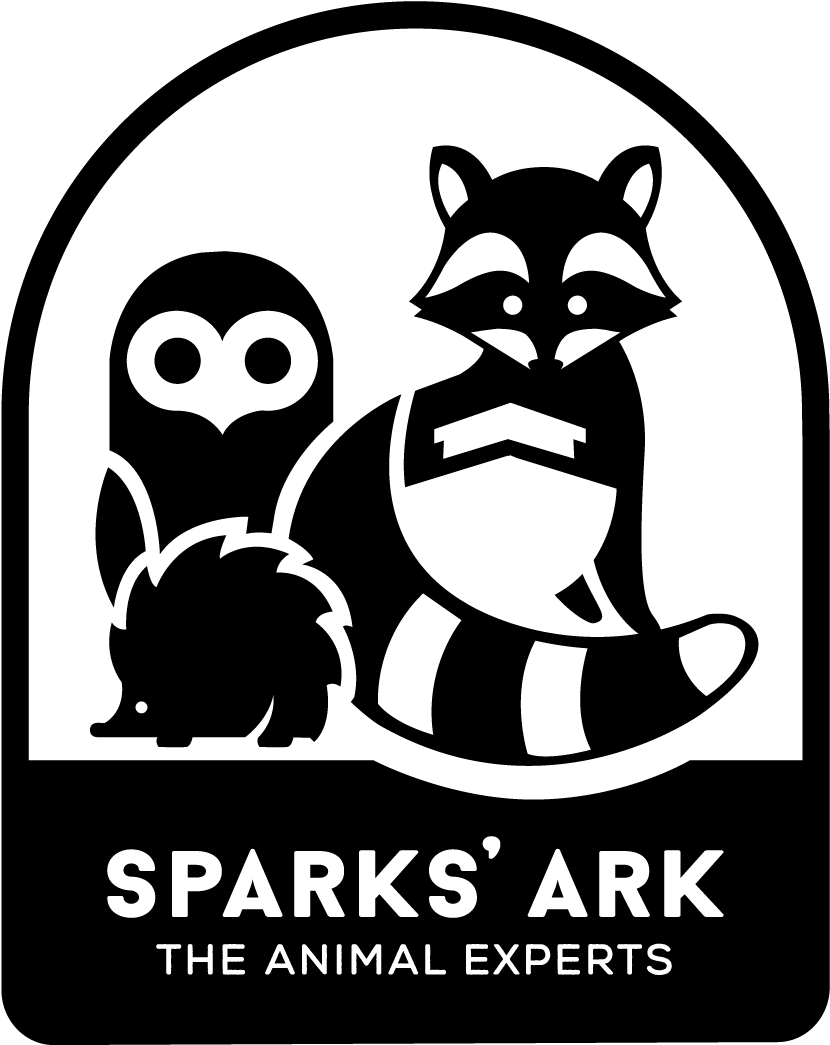 Logo (850x1069), Png Download