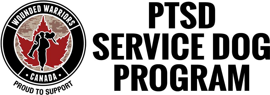 Trauma Resiliency Program Application - Sport Club Internacional (1080x404), Png Download