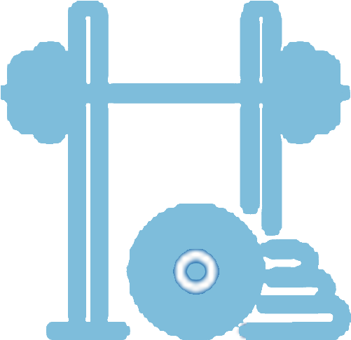 Physicalwellness-icon Copy - Icon (500x500), Png Download