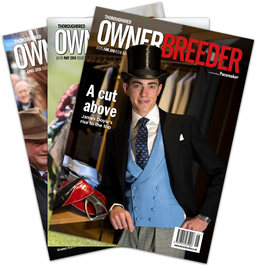 Get Exclusive Insights - Magazine (522x540), Png Download