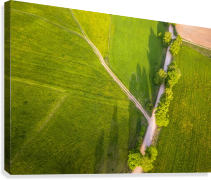 Drone Photo Of The Crossroad Between Trees In Colorful - Field (429x367), Png Download