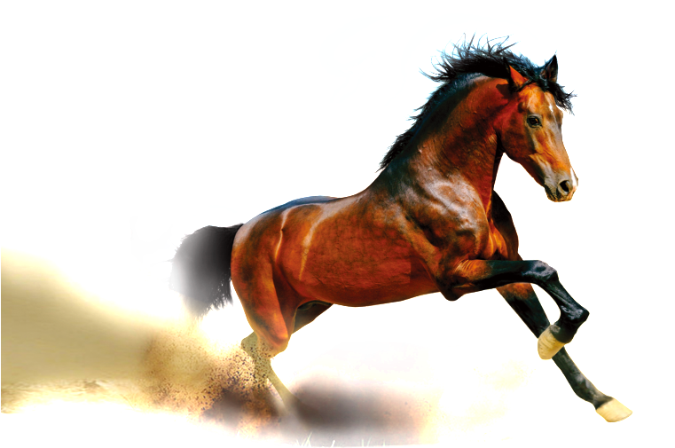 Yellow Running Horse Pattern Design - Arena Berger, Margot: Pepper Und Flo 3&4. Meine (1024x640), Png Download