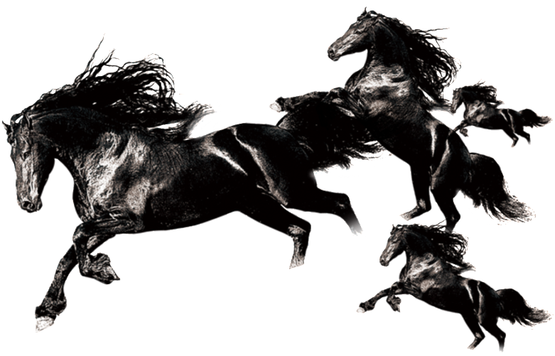Black Running Horse Pattern Png - Wall Tapestry Galloping Horses Print Hanging Wall Tapestry (1024x682), Png Download