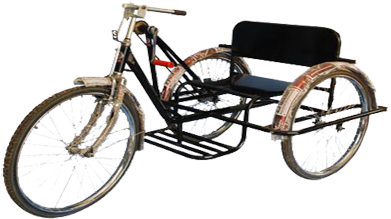 physically handicapped tricycle