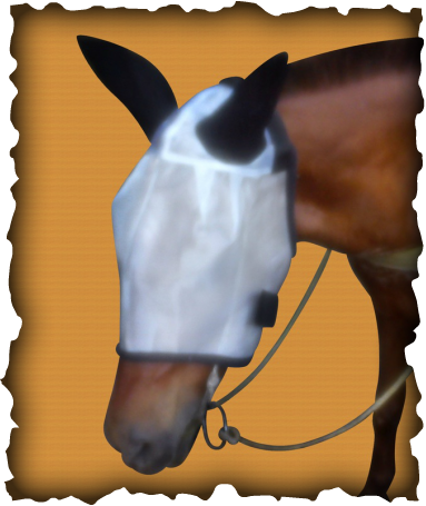 Fly Mask Article - Blog (383x455), Png Download