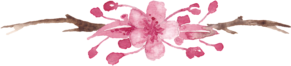 Watercolor Hand Painted Peach Tree Branch Png Transparent - Portable Network Graphics (1024x303), Png Download