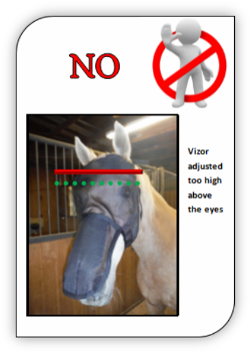 Picture - Horse (378x527), Png Download