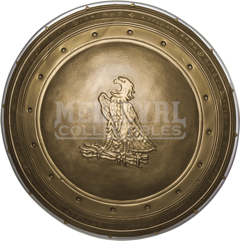 Adult Wonder Woman Shield - Batman Vs Superman Wonder Woman Shield (850x850), Png Download