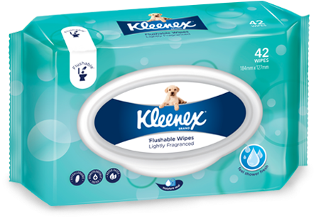 Experience The New Kleenex Flushable Wipes Range - Kleenex Flushable Wipes (483x330), Png Download