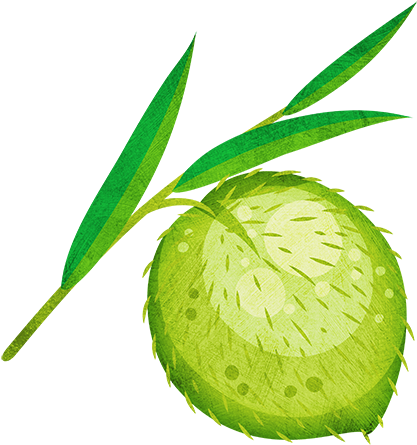 Swan Plant (500x500), Png Download