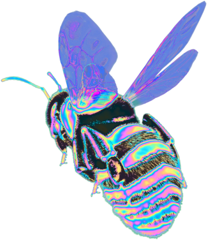 Go To - Www - Redbubble - Com/people/dinaaaaaah Some - Honeybee (500x500), Png Download