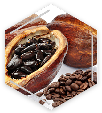 Serv Kafe I Kakao Ho - Ceramic Burr Manual Coffee Grinder Portable Hand Crank (330x373), Png Download