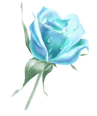 Clipart Images, Vector Clipart - Floribunda (390x493), Png Download