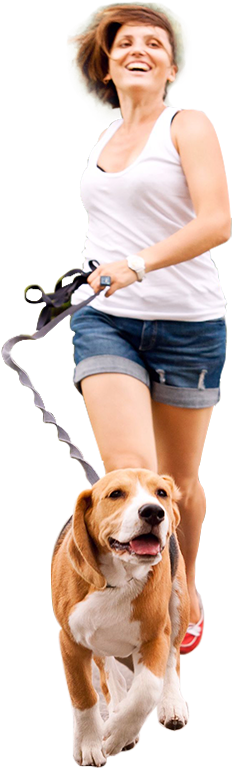 We Partner With Rescues And Animal Control Agencies - Ipets Pet619s-1 | E-collar | Shock Collar | Remote (1553x775), Png Download