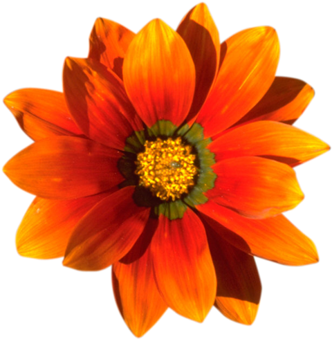 Vhs Distortion After Effects Tutorial - Happy Mothers Day 2018 To My Sister (500x494), Png Download