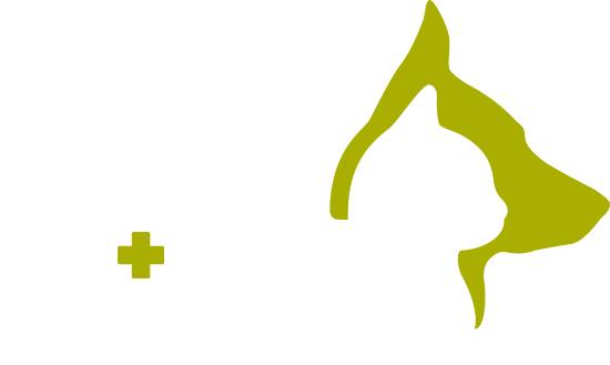 Graphic Design (550x329), Png Download