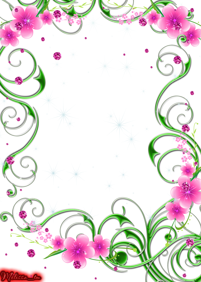 Green Swirls With Pink Flowers And Gems Png By Melissa - Green And Pink Borders (800x1120), Png Download