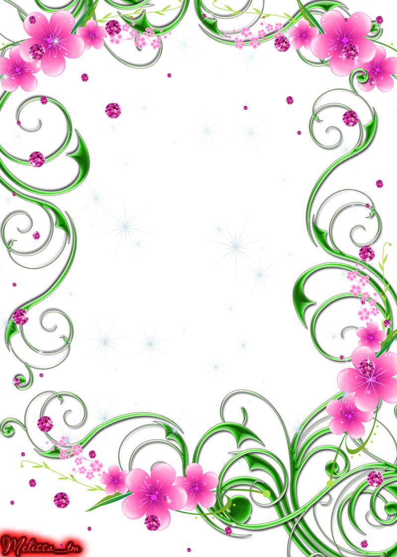 Download Green Swirls With Pink Flowers And Gems Png By Melissa - Green And Pink  Borders PNG Image with No Background - PNGkey.com, image size:800x1120