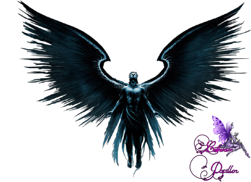 Spoiler - Wallpaper (800x581), Png Download