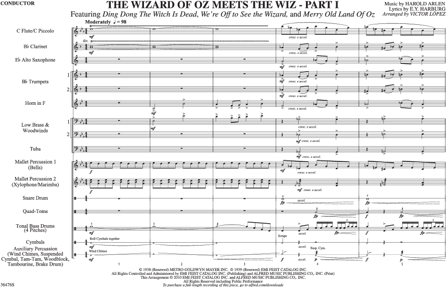 The Wizard Of Oz Meets The Wiz - Document (1056x816), Png Download