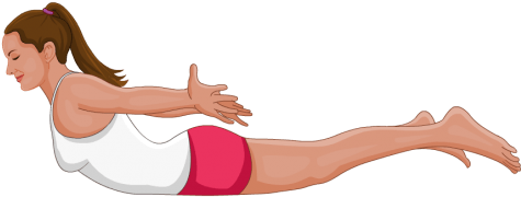 Locust Pose Or Salabhasana Is A Spine Strengthening - Salabhasana (567x567), Png Download