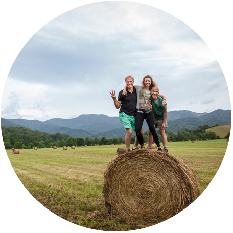 Haybail1 - Hay (456x456), Png Download