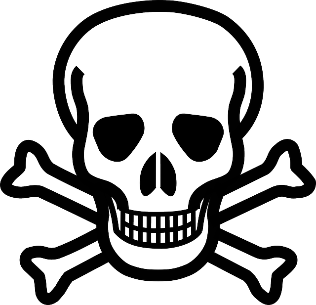 Drugs Are No Good For Anyone - Skull And Crossbones Silhouette Png (640x617), Png Download