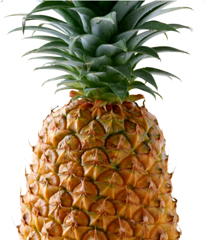 Pineapple Png Transparent Images - Pineapple Png (640x480), Png Download