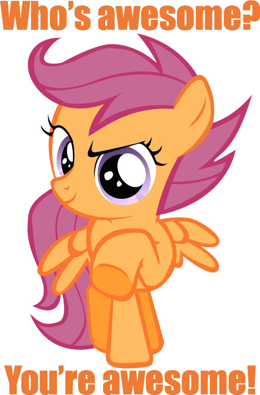 Awesome, Caption, Female, Filly, Image Macro, Looking - Mlp You Re Awesome (900x1325), Png Download