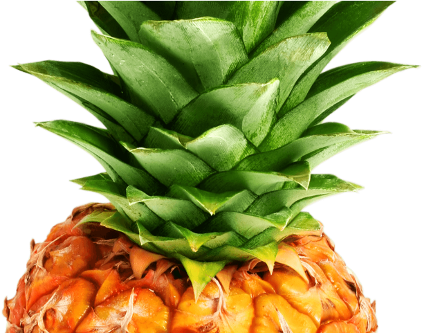 Pineapple Png Transparent Images - Pineapple Png (640x480), Png Download