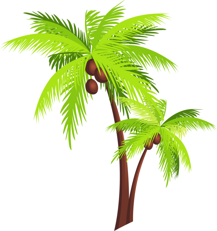 Coconut Tree Png Free Download - Coconut Tree Png (751x800), Png Download