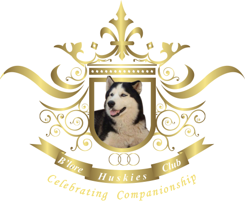 "its A Special Bond Yours And Mine, As Special As The - Canadian Eskimo Dog (500x411), Png Download