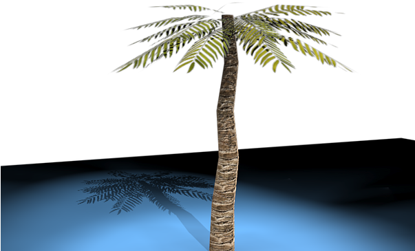 3d Palm Tree Model With Lighting And Shading - Attalea Speciosa (602x452), Png Download