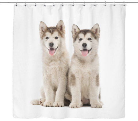 Siberian Husky Lover Shower Curtain - Alaskan Malamute (480x480), Png Download