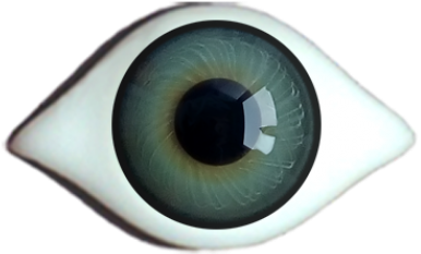 Iris Rim Eyes - Grey (420x420), Png Download