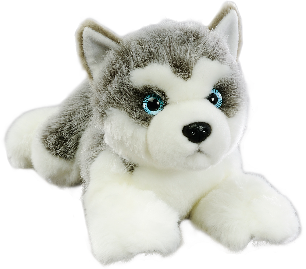 My Friend Kennel Puppy, Husky & (1004x883), Png Download