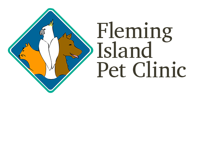 Duck (1062x574), Png Download