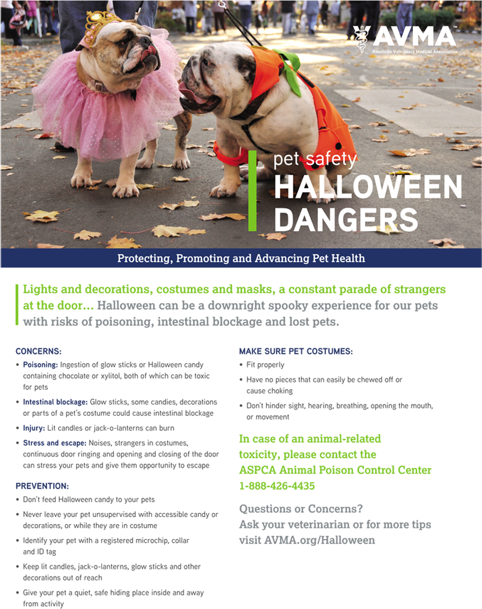 Halloweenpetsafety-1 (1000x1235), Png Download