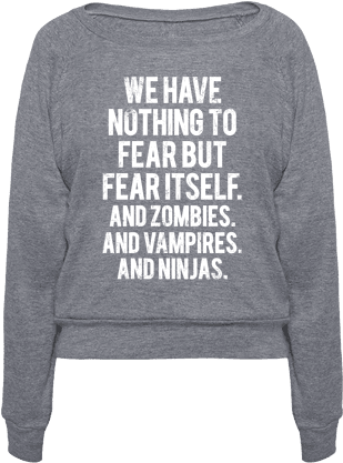 Fresh Nothing To Fear But Fear Itself Quote 394 Heathered - We Have Nothing To Fear But Fear Itself (and Zombies. (484x484), Png Download